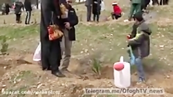 سلولهای بنیادی خون