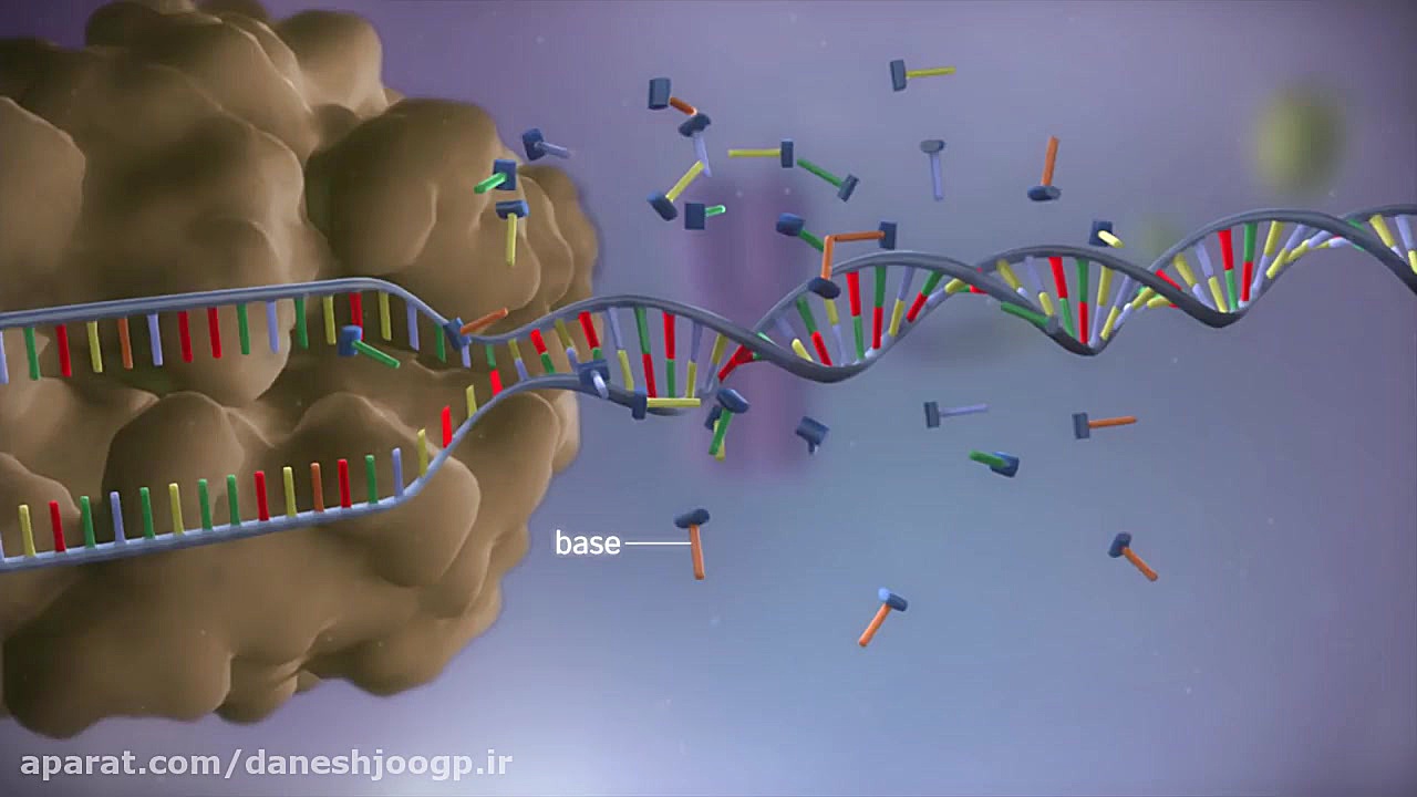 From DNA to protein - 3D مزوتراپی
