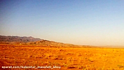 کبوتر مسافتی و پلاکی آذربایجان