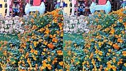 Xiaomi Mi 5S Vs Samsung Galaxy...