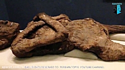 تجاوز تعجب برانگیز به مومیایی...