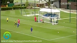 گل تماشایی تیبو کورتوا، دروازه...