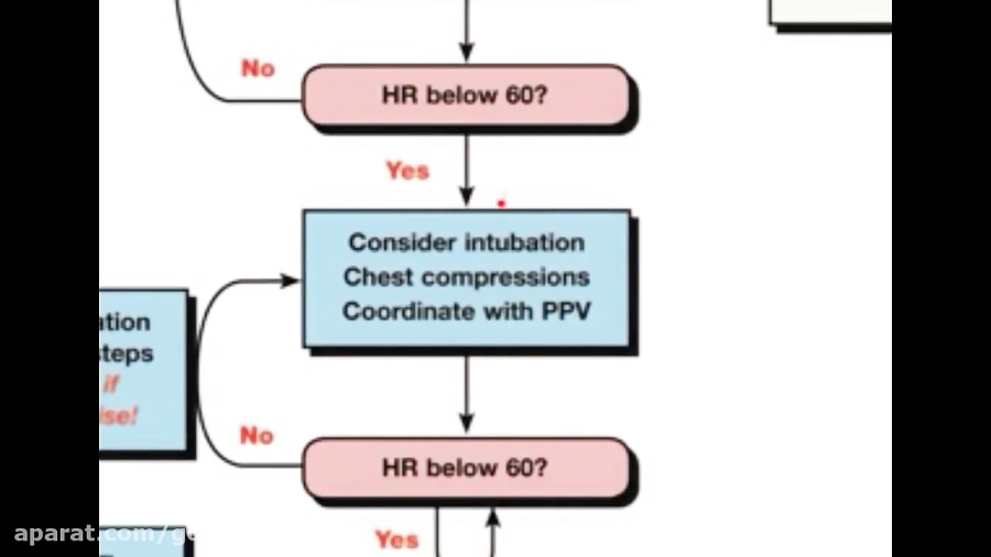 compression to ventilation ratio