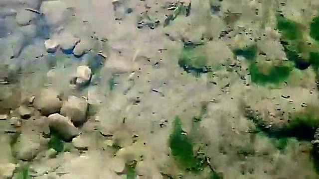پوستر بزرگ