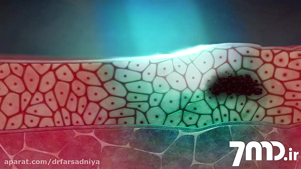 مجموعه فیلم های آموزشی دندانپزشکی دکتر فروزان فرسادنیا www.drfarsadniya.ir