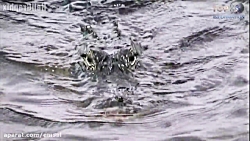 تاپ تن جالبترین، قوی ترین وگرا...