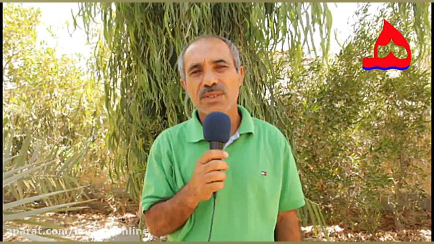 پوستر بزرگ