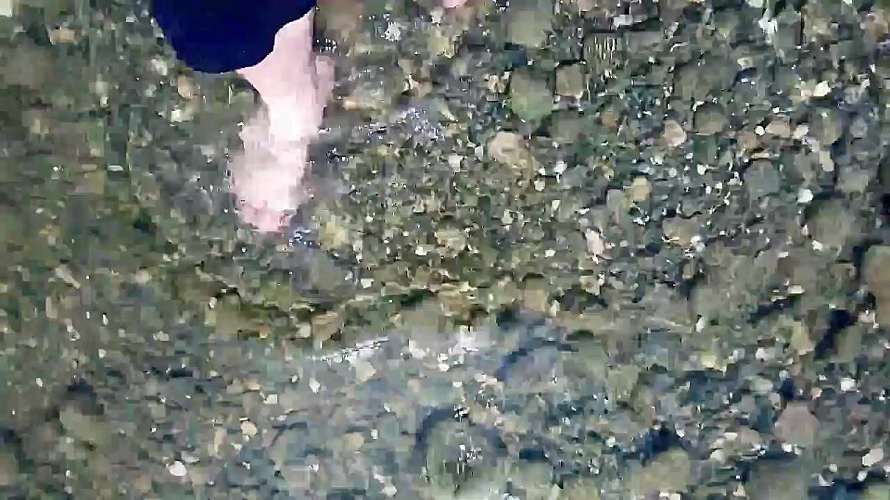 پوستر بزرگ