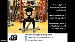 ساعد دمبل نشسته کف دست بالا