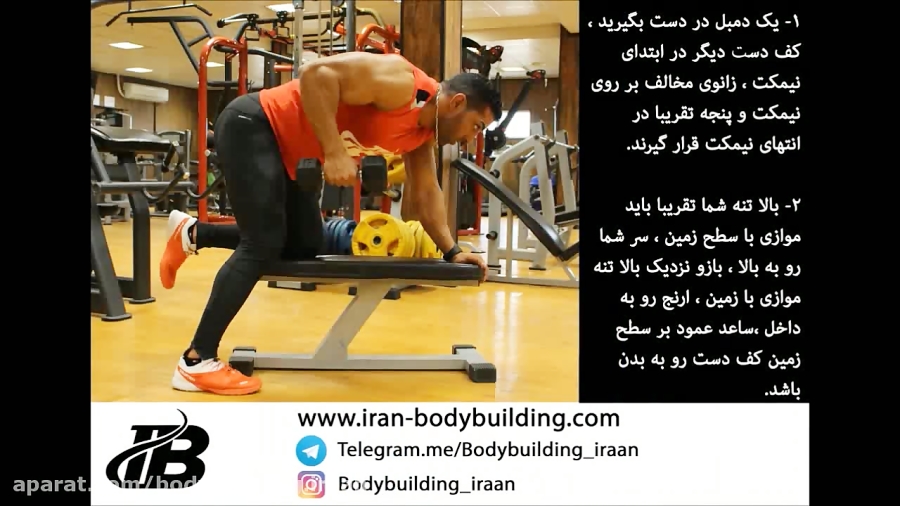 پشت بازو دمبل کیک بک تک دست روی نیمکت پشت بازو دمبل کیک بک تک دست روی نیمکت