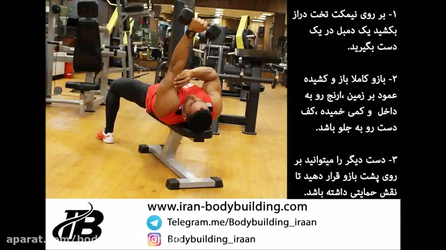 پشت بازو دمبل تک دست خوابیده نیمکت پشت بازو دمبل تک دست خوابیده نیمکت