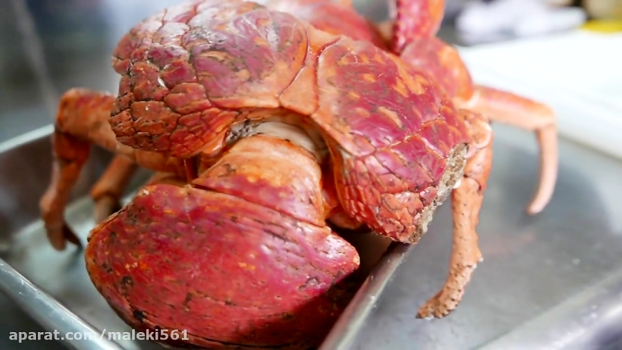 خرچنگ  خوردن