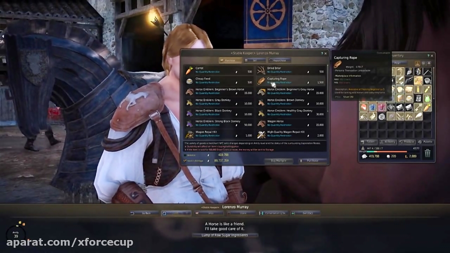 How to become a Breeding God! | Horse Breeding in Black Desert Online Guide
