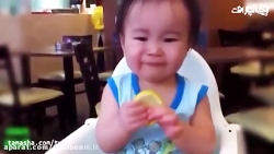 قیافه دیدنی کودکان موقع خوردن...