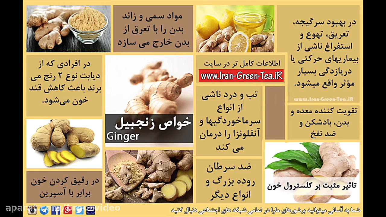 این بهترین میوه ضد تهوع و ضد سرطان است اندودنتیکس