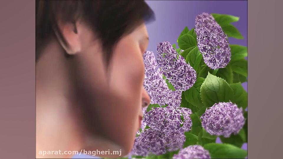 حواس ویژه - حس بویایی - زیست یازده احمدرضا عابدزاده
