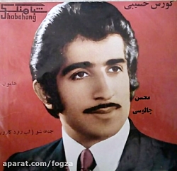 یار و همسر نگرفتم... ، ایرج حب...