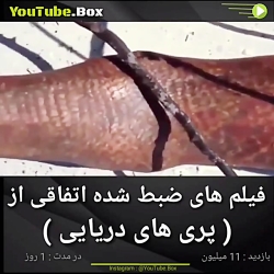 فیلم های ضبط شده اتفاقی از پری...