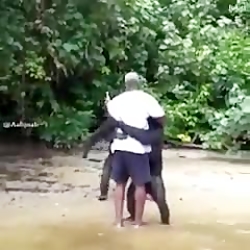 واکنش حیوانات کی نجات یافته ان...