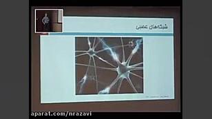 شبکه های عصبی و یادگیری عمیق (بخش هشتم) انسریدا