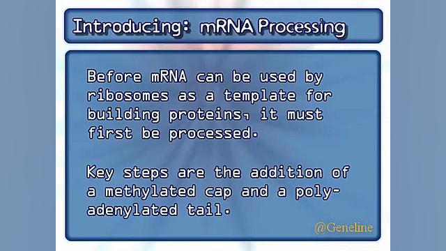 پردازش RNA (دوبله فارسی) کربوکسی تراپی
