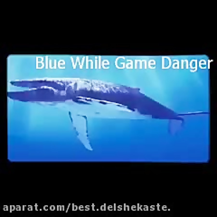 blue whale song
