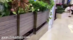 معماری داخلی سبز کافه فروشگاه کوروش