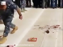 خوردن زنده حیوانات توسط ارتشی...