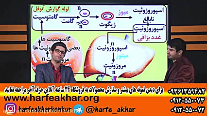 زیست استاد شعبانی شاکری لیفت گردنایمپلنت دندان