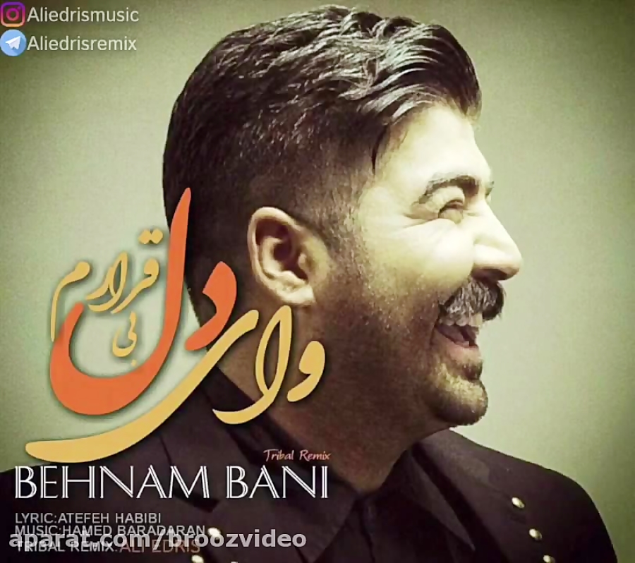 Bani перевод. Behnam bani toyientekhabam remix. behnam bani music.