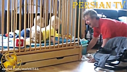 رقص خنده دار کودکان دوقلو