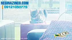 معماری داخلی ویلا