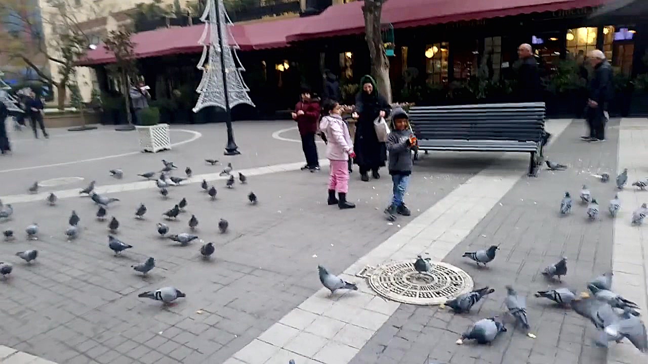 پوستر بزرگ
