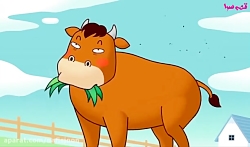 قورباغه و گاو  قصه های کودکانه...