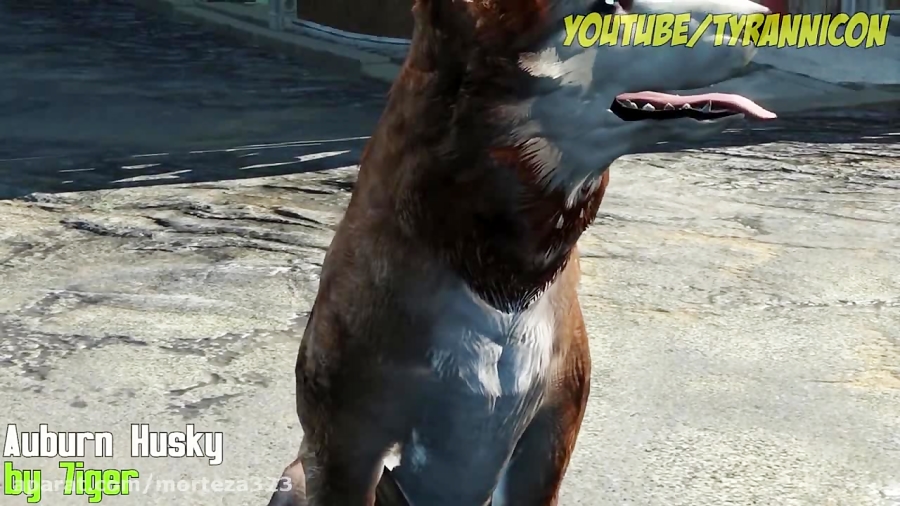 FALLOUT 4 - TOP 10 DOGMEAT MODS!