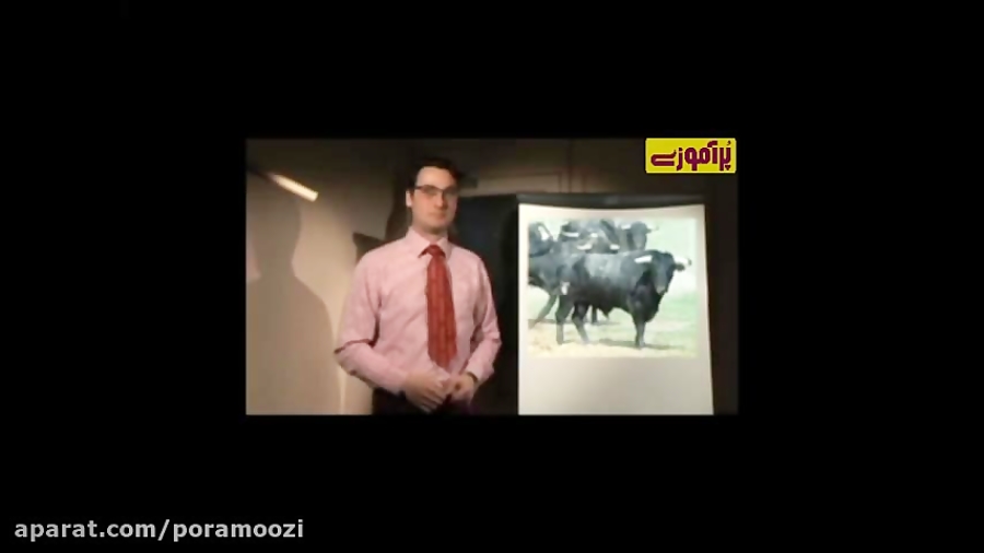 like a red rag to a bull