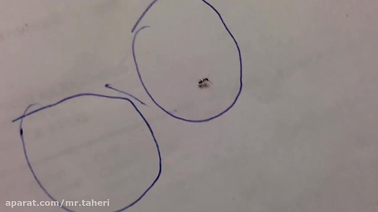 محدودیت های خود را بشکنید دکتر محمدرضا طاهری