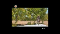 درمان دندانهای نامنظم و نامرتب و مشکلات دندانی فکی دکتر عبدالرضا جمیلیان - متخصص ارتودنسی
