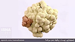 روشی تازه برای درمان سرطان