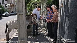 سریال لیسانسه ها  فصل دوم، قسم...