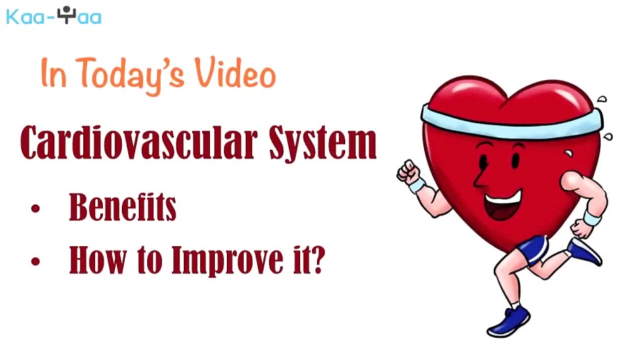 3 What is Cardiovascular Fitness and How to Develop a Healthy