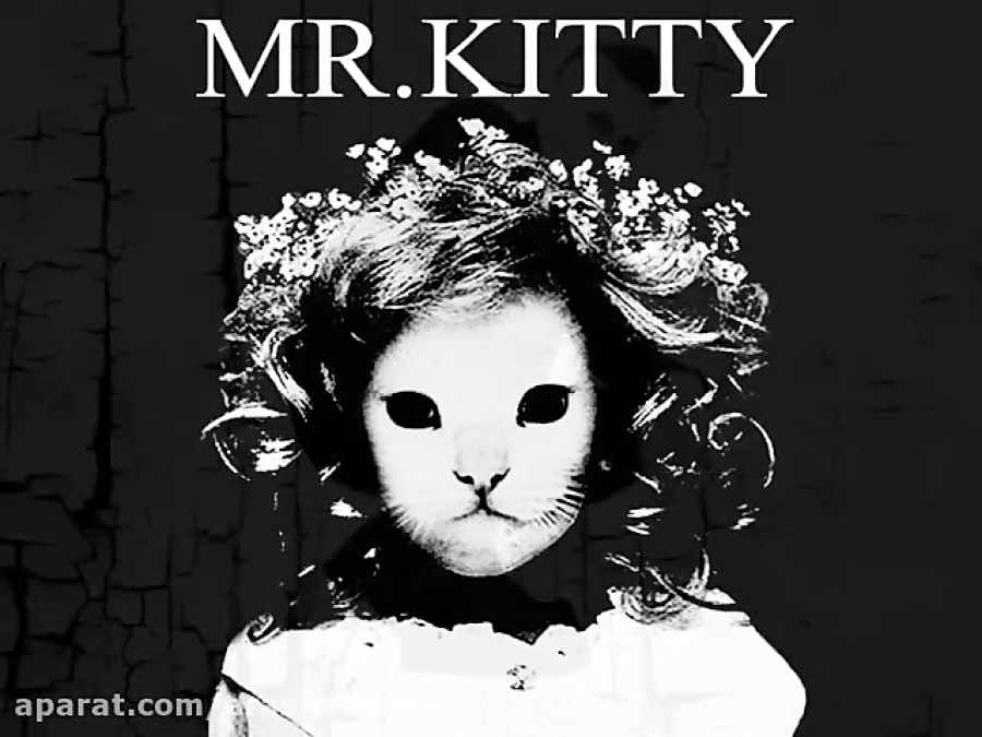 Mr kitty a new. Mr.Kitty группа. Mr Kitty обложка альбома. Mr Kitty певец. Мистер Китти альбом.