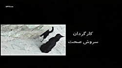 سریال چارخونه قسمت13