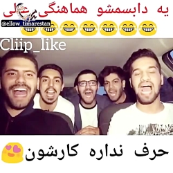 یک دامسبش هماهنگ..کارشون عالیه...