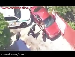 زندانی فراری که عاقبت با سگ ها...