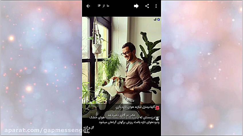 نحوه ذخیره تصویر در گالری رفع چین و چروک