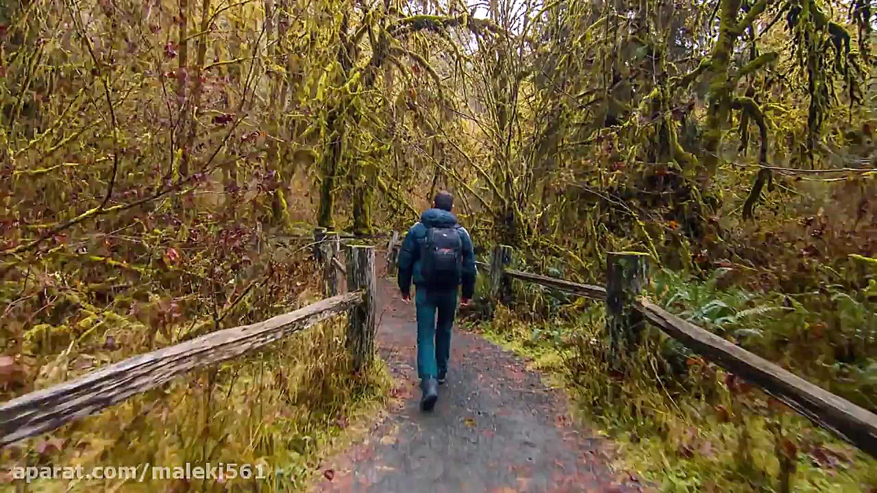 دانلود کلیپ 4K (Ultra HD) برای تست تلویزیون ال جی ویدیوی وایرال