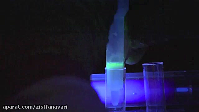 تکنیک کروماتوگرافی برهمکنش آبگریز – Hydrophobic interac آهو خمیازه