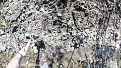 Buscador de Tesoros ! Metal Detecting ! Hidden Silver Coins Found ! Deteccion Metalica Buscador de Tesoros ! Metal Detecting ! Hi...
