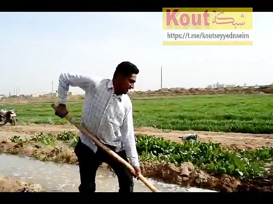 سید نعیم 1
